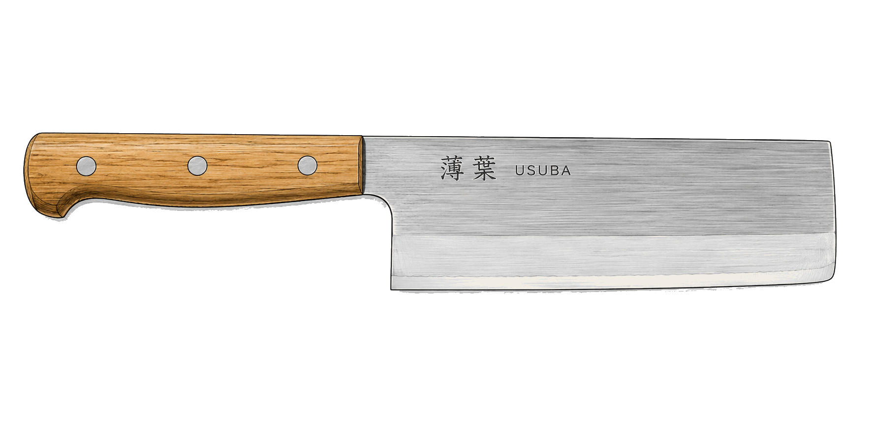 Usuba — ilustración